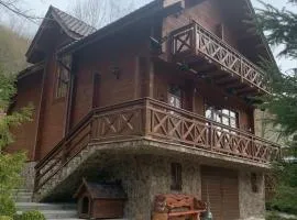 Молода Вовчиця