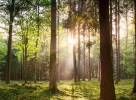 Luxe Chalet Veluwe - Perfect Getaway