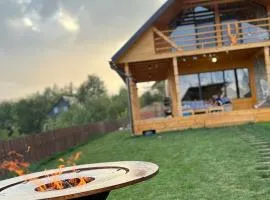 Cabana de sub mesteceni