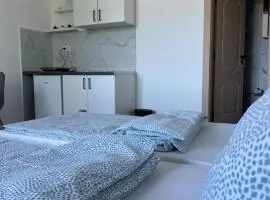 Apartman Milanović