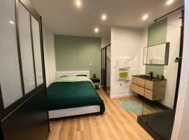 Appartement coquet au coeur de Vichy