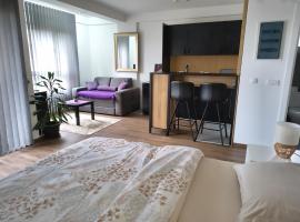 Apartman Kladovo: Kladovo şehrinde bir plaj oteli