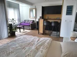 Apartman Kladovo