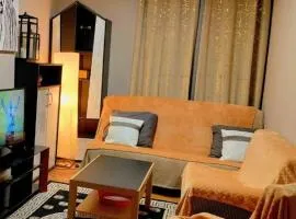 Sunny days -cozy and comfortable apartment