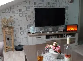 Park Apartment