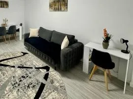 A B V Central Apartament