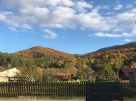 Ромашка
