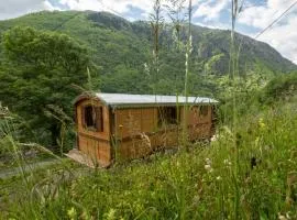 Ancolie - Nuits Bohèmes