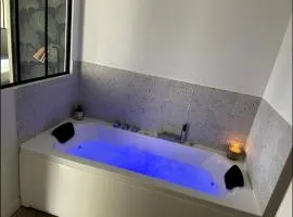 Charmant Studio Balneo wifi clim borne electrique