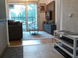 Picasso Divcibare Kota 992