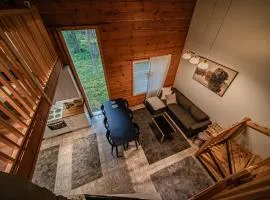 Aurelfox Chalet A by Aavalevi