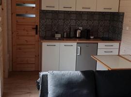 Domek Leśna Przystań, hotel in Lędyczek