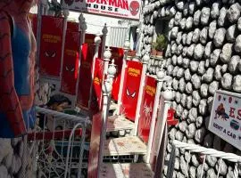 CATANIA SPIDERMANHOUSE l