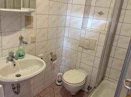 Hotel Leonis, hotel in Aue-Bad Schlema