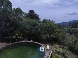 A casa da Floresta