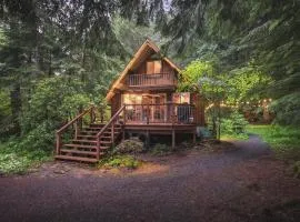 Nisqually Nest at Mount Rainier