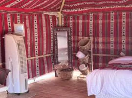 Desert Vibes Camp