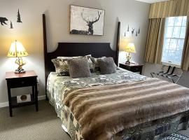 Ski On Off 1BR Suite 1st Flr Sleeps 4 Jiminy Peak, ξενοδοχείο σε Hancock