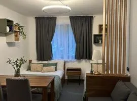 Riverside Apartmani Kopaonik