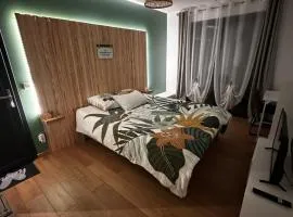 Chambres modernes avec salle de bain privative