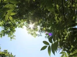 WEND URABANDAI - Vacation STAY 45606v