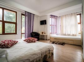 Pensiunea Alexandra, hotel v mestu Predeal