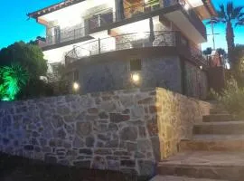 Villa Nestor