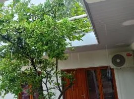 Poraite alojamientos