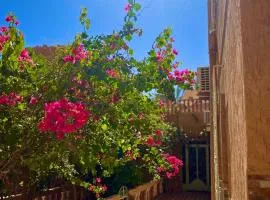 Sunny City Villa with a Garden