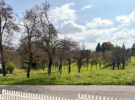 2 Bedroom Cozy Home In Salopeki Modruski
