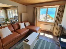 Apartment by Lake Brienz with lake view