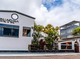 Fernandina Hotel & Spa