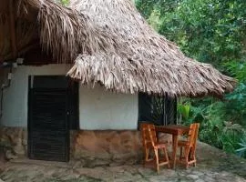 Puerto Alto Hostel