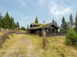 Lovely Home In Sjusjøen With Sauna