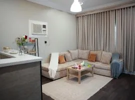 Quiet apartment, room, hall, bathroom and American kitchen