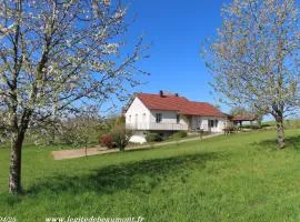Charmant Gîte 4* dans un Hameau Paisible des Vosges - FR-1-583-388