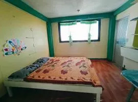 Mountain Pine Breeze