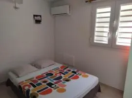 Abricotier à proximité des plages du sud