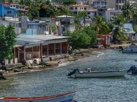 Abricotier à proximité des plages du sud