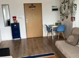 Kawalerka z widokiem na jezioro