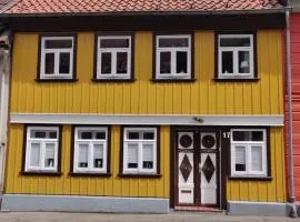 Haus-Salamander-mit-Sauna