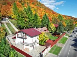 Casa Zânelor Slănic Moldova