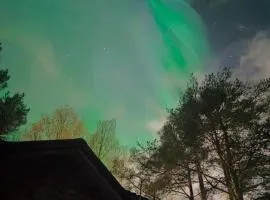 Borealis House 2