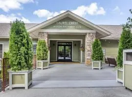 Hilton Vacation Club Laurel Crest Pigeon Forge