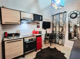 Elegant Studio in the Historic Center