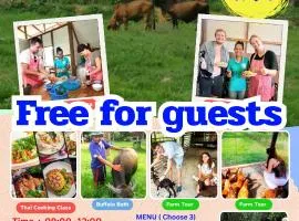 YaoIsland Resort and Farm