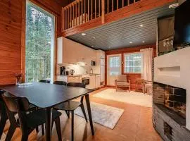 Aurelfox Chalet B by Aavalevi
