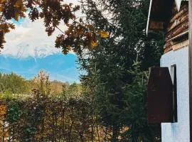 Cuib din Fagaras