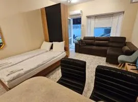 Bright and Cozy Studio with Garage near the Center