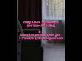 Готель У Борисовича & SPA, hotel adaptado en Palyanytsya